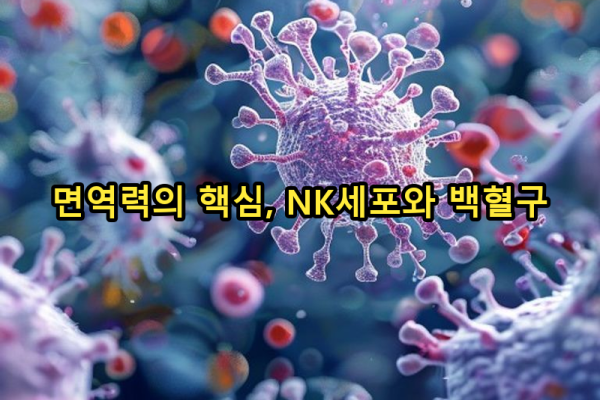 4-1 면역력의 핵심: NK세포와 백혈구