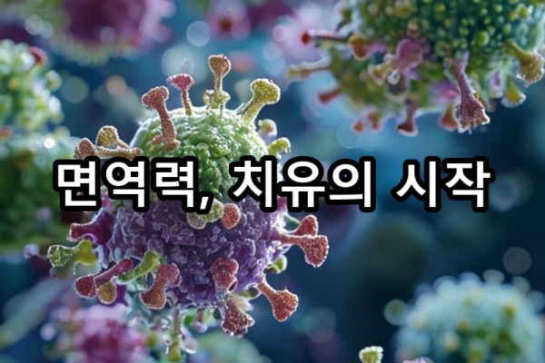 4-2 면역력 저하의 원인과 해결책