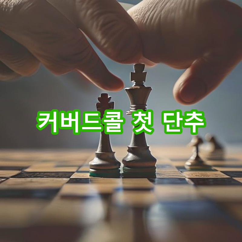 1-6 초보자를 위한 첫 걸음