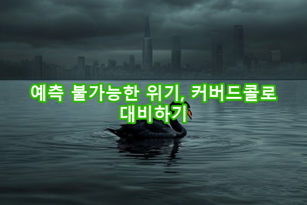 4-6 블랙 스완 사태 대비