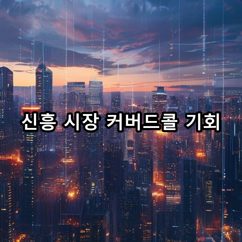 10-2 신흥 시장 기회 분석